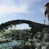 Fotogalerie: Čínské pláže pokryly mořské řasy