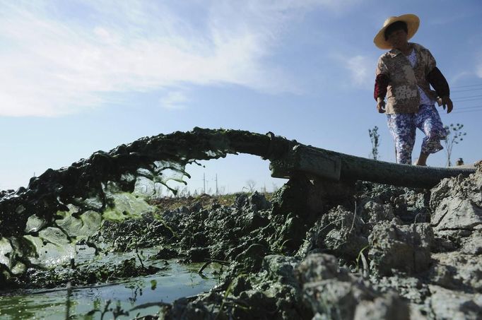 A woman looks at algae pumped into a treatment reservoir at Chaohu Lake in Hefei, Anhui province, July 2, 2013. REUTERS/Stringer (CHINA - Tags: ENVIRONMENT) Published: Čec. 2, 2013, 10:04 dop.