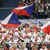 Fed Cup 2017: čeští fanoušci