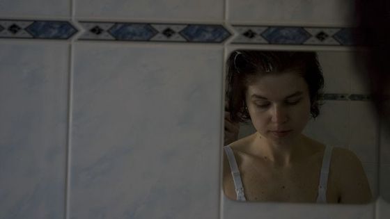 Jaroslava Šnajberková - Vlci