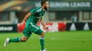 Rapid Vienna's Steffen Hofmann celebrates after scoring a goal during their Europa League group E soccer match against Viktoria Plzen in Vienna, Austria, October 22, 2015