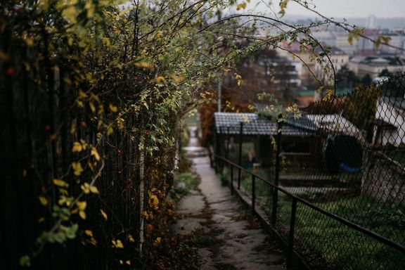 Ráno na Kotlasce kokrhají kohouti, a tak by jednoho snad ani nepřekvapilo, kdyby tu večer dávaly lišky dobrou noc.