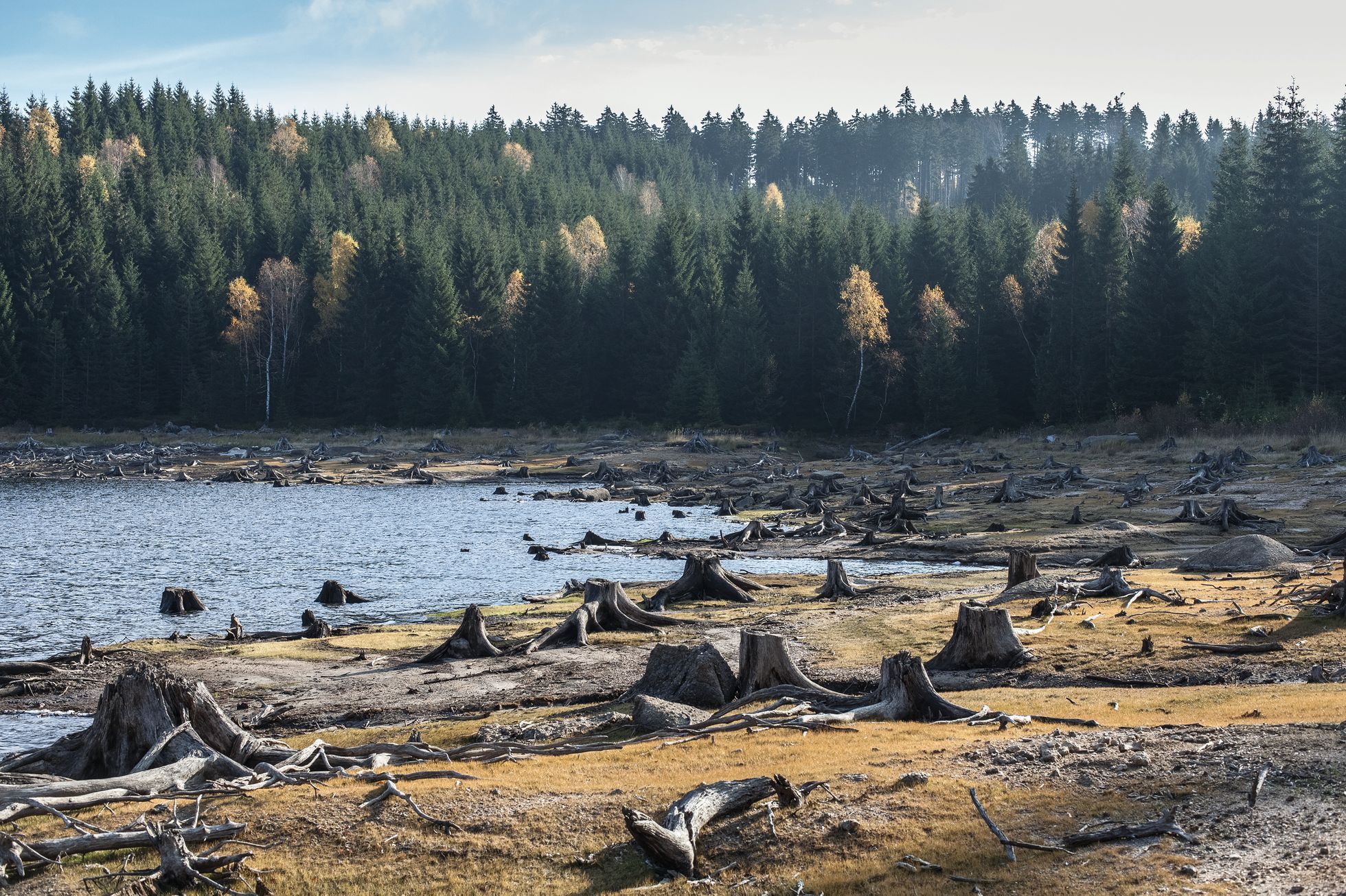 Aleš Palán, Samotáři 2