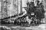 Kolem spadlého monarchy stojí šestá kavalerie americké armády. Snímek je z roku 1900.