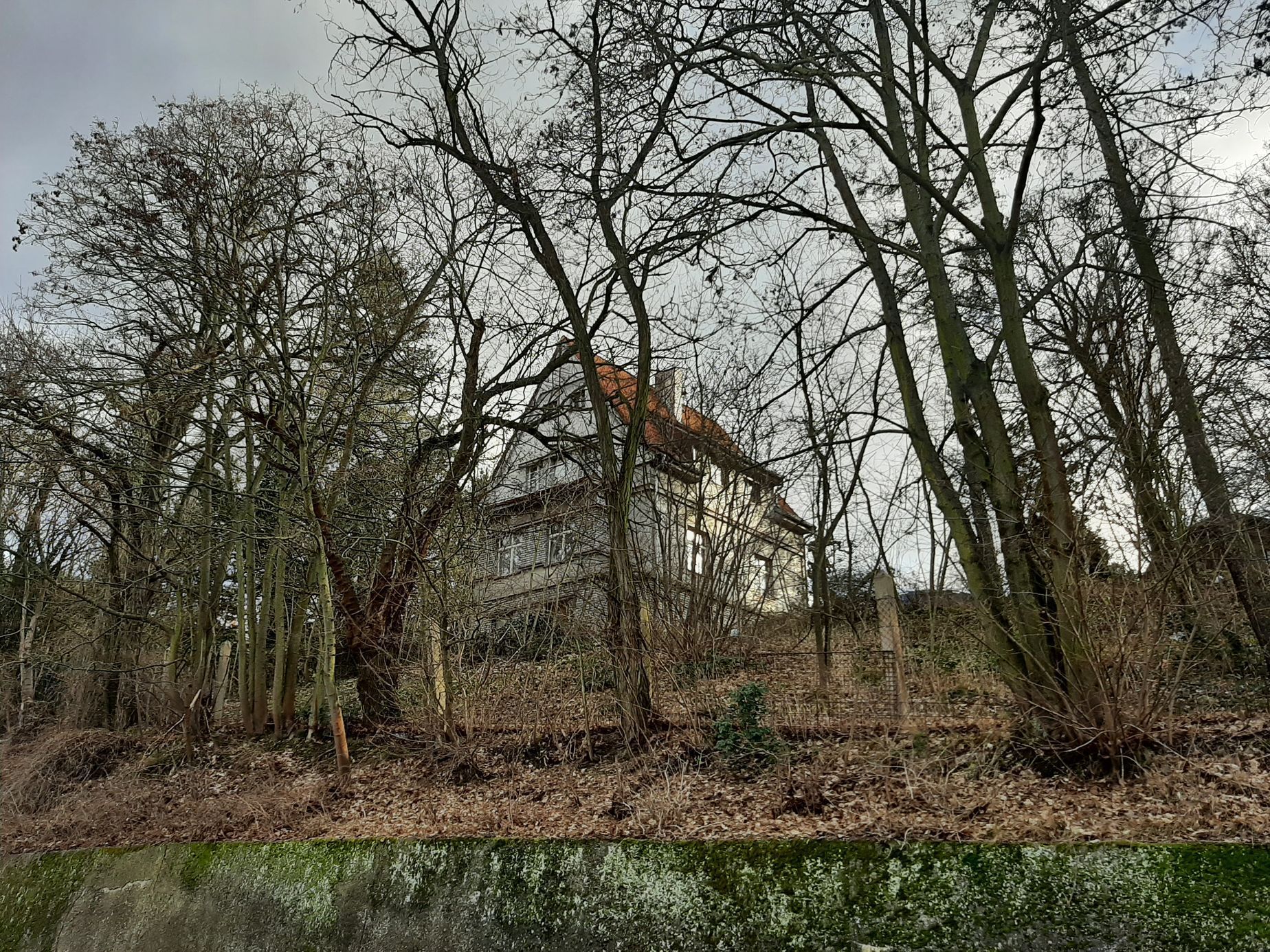 Svojsík, Dobřichovice