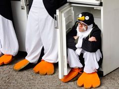 Globální oteplování: Bude jediným místem, kde bude tučňákům dobře, lednička? Ilustrační snímek pochází z protestu aktivistů v Bruselu na jaře 2009.