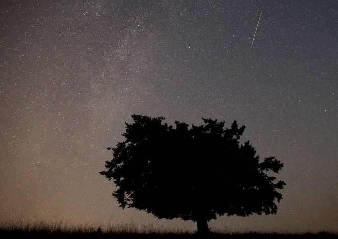 A meteor streaks across the sky during the Perseid meteor shower near Kraljevine on mountain Smetovi in the early morning