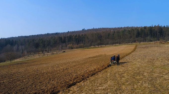 Janek Sedlář: Žít lehce - příběhy o cestě za svobodou a soběstačností