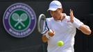 Tomáš Berdych v zápase s Kevinem Andersonem na Wimbledonu 2013