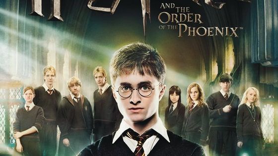 Harry Potter a Fénixův řád (Wii)