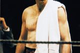 Boxer, 1997. Příběh belfastského boxera, propuštěného vězně a vojáka Irské republikánské armády přiměl Day-Lewise strávit osmnáct měsíců se skutečným trenérem boxu. Ten na konci přípravy konstatoval, že mezi zápasníky ve střední váze by Day-Lewis obstál i mezi profesionály.