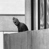 Masakr na olympiádě v Mnichově 1972