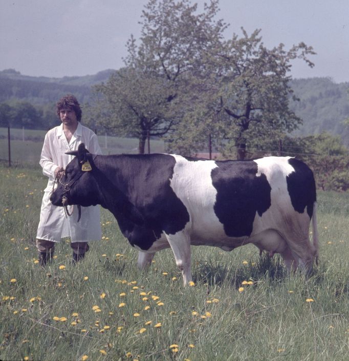 Jan Regal, Slušovice