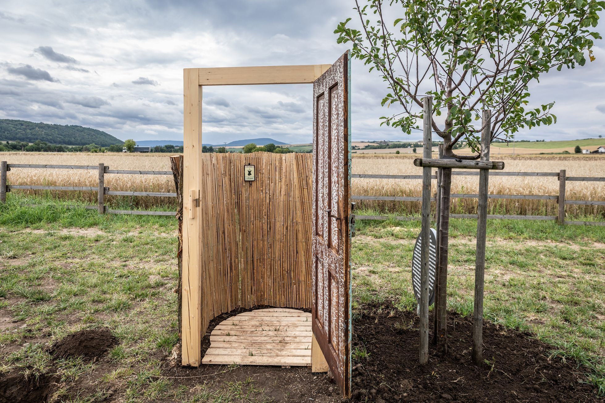 Levandulové údolí, údolí, levandule, Helena Neummanová, Chodouň