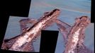 Peering at Pesky 'Jammerbugt' (False Color) 7/21/06 This false-color image was generated from images obtained by NASA's Mars Exploration Rover Opportunity on sol 842 (June 7, 2006) using the panoramic camera's 750-nanometer, 530-nanomter, and 430-nanometer filters. As winter has descended over Meridiani Planum, the availability of solar power for the rovers has diminished greatly. One consequence of less power for Opportunity is that there are fewer telecommunications links via the orbiting Mars Odyssey spacecraft because the rover needs to use the "deep sleep" mode overnight to conserve energy. As a result, images that are not needed specifically to help plan the next sol of operations often stay onboard for much longer time than the science team has been used to. For example, on sol 833 Opportunity became embedded within an unexpectedly deep and very fine-grained ripple, named "Jammerbugt" by the operations team, and spent the next eight sols (834-841) extricating itself. A series of images from the hazard avoidance camera were quickly returned because they were needed to help plan the drive sequences. However, once the rover was free from the ripple, the science team commanded these panoramic camera image mosaics on sol 842 to show complete coverage of the wheel tracks that were left by Opportunity during the extraction process. The images are of great scientific value but were not critical for planning operations. Accordingly, they were not fully downlinked until sol 864 (June 29, 2006), about three weeks after they were obtained. Image Credit: NASA/JPL-Caltech/Cornell