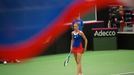 Plíšková vs. Halepová, Fed Cup, Česko vs. Rumunsko