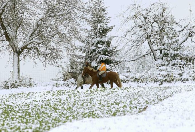 People ride on their horses past snow-covered trees near the Swiss town of Therwil, south of Basel, October 28, 2012. REUTERS/Arnd Wiegmann (SWITZERLAND - Tags: ENVIRONMENT SOCIETY ANIMALS) Published: Říj. 28, 2012, 11:36 dop.