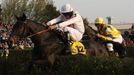 Velká pardubická 2015: Orphee des Blins (Jan Faltejsek)