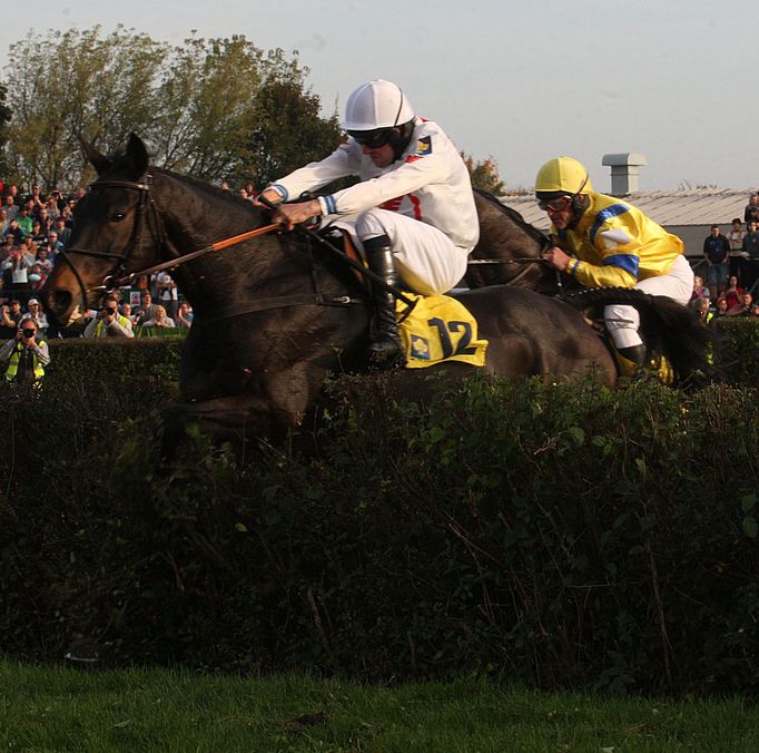 Velká pardubická 2015: Orphee des Blins (Jan Faltejsek)