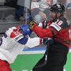 Semifinále MS v hokeji 2019, Česko - Kanada (Řepík, Dubois)