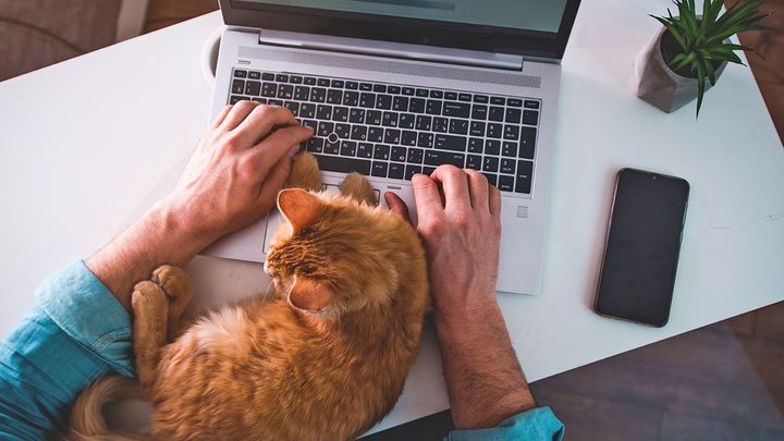 Zatím propadák. Belgie hlásí první zkušenosti ze čtyřdenního pracovního týdne