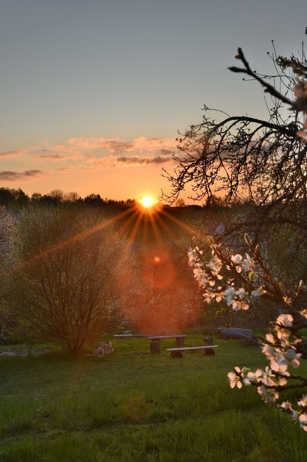 domeček na kopci, dům, rekonstrukce, zahrada, příběh