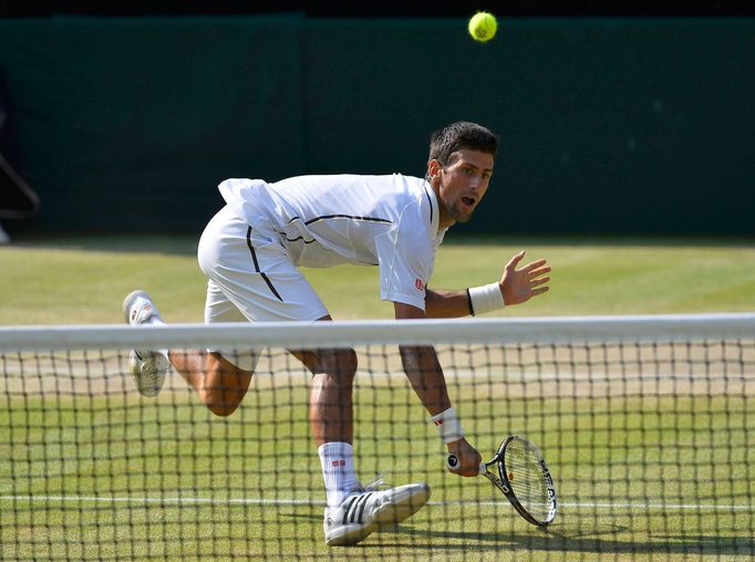 Novak Djokovič ve finále Wimbledonu 2013