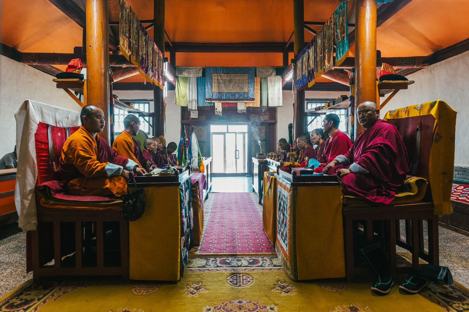 Žlutá žába Dan Přibáň