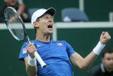 TOMÁŠ BERDYCH - TENIS              Ve finále Davis Cupu získal jeden a půl bodu, navíc postoupil opětovně na Turnaj mistrů.