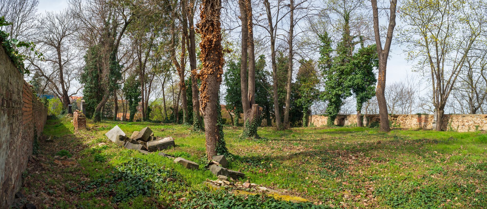 Hřbitov Na Skalce