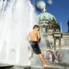 Foto: Vlna veder