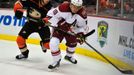 NHL: Arizona Coyotes vs. Anaheim Ducks (Martin Erat a William Karlsson)