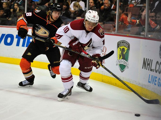 NHL: Arizona Coyotes vs. Anaheim Ducks (Martin Erat a William Karlsson)