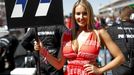 F1, VC USA 2017: grid girl