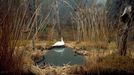 Image: 0015053564, License: Rights managed, Nordic animals are set against diorama depicting Swedish landscape at Biological Museum in Stockholm. Panorama painted by Bruno Liljefors., Place: Stockholm, Sweden, Model Release: No or not aplicable, Credit line: Profimedia.cz, Corbis