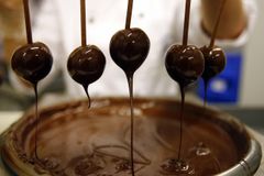 Kampaň má Čechy naučit jíst čokoládu z FairTrade