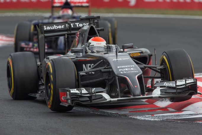 VC Maďarska 2013: Esteban Gutiérrez, Sauber