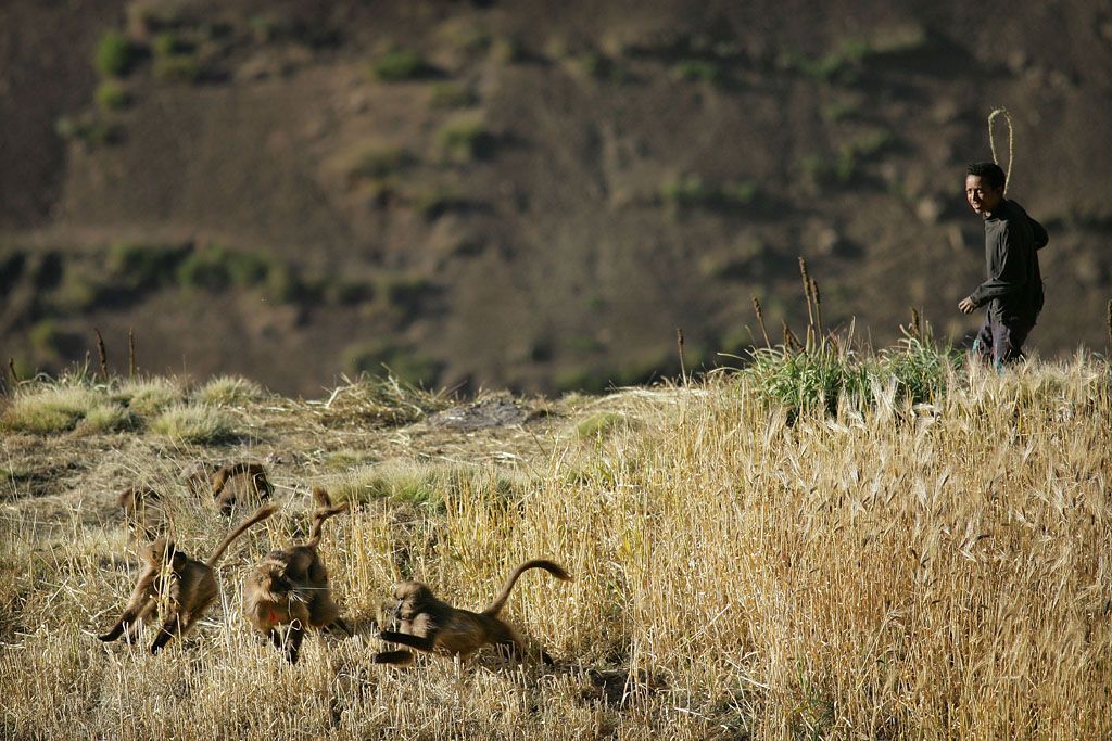 Foto: Překrásné fotografie světa od BBC /// Nepoužívat ve článcích! ///
