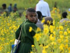 Malá venkovanka z okresu Jižní Gondar se vpodvečer vrací ze školy domů