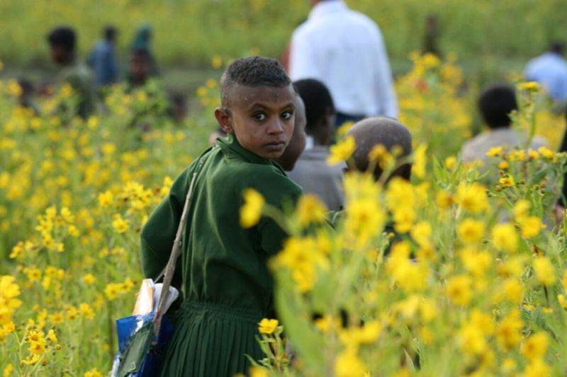 afrika Etiopie školačka