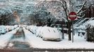 Cars are seen partially covered by snow after the passing of a winter storm in Jersey City, New Jersey, February 9, 2013. A blizzard packing hurricane-force winds pummelled the northeastern United States on Saturday, killing at least one person, leaving about 600,000 customers without power and disrupting thousands of flights. REUTERS/Eduardo Munoz (UNITED STATES - Tags: ENVIRONMENT DISASTER) Published: Úno. 9, 2013, 4:34 odp.