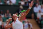 Barbora Strýcová opět ukázala, že je velkou bojovnicí a ve třiatřiceti letech postoupila do semifinále Wimbledonu.