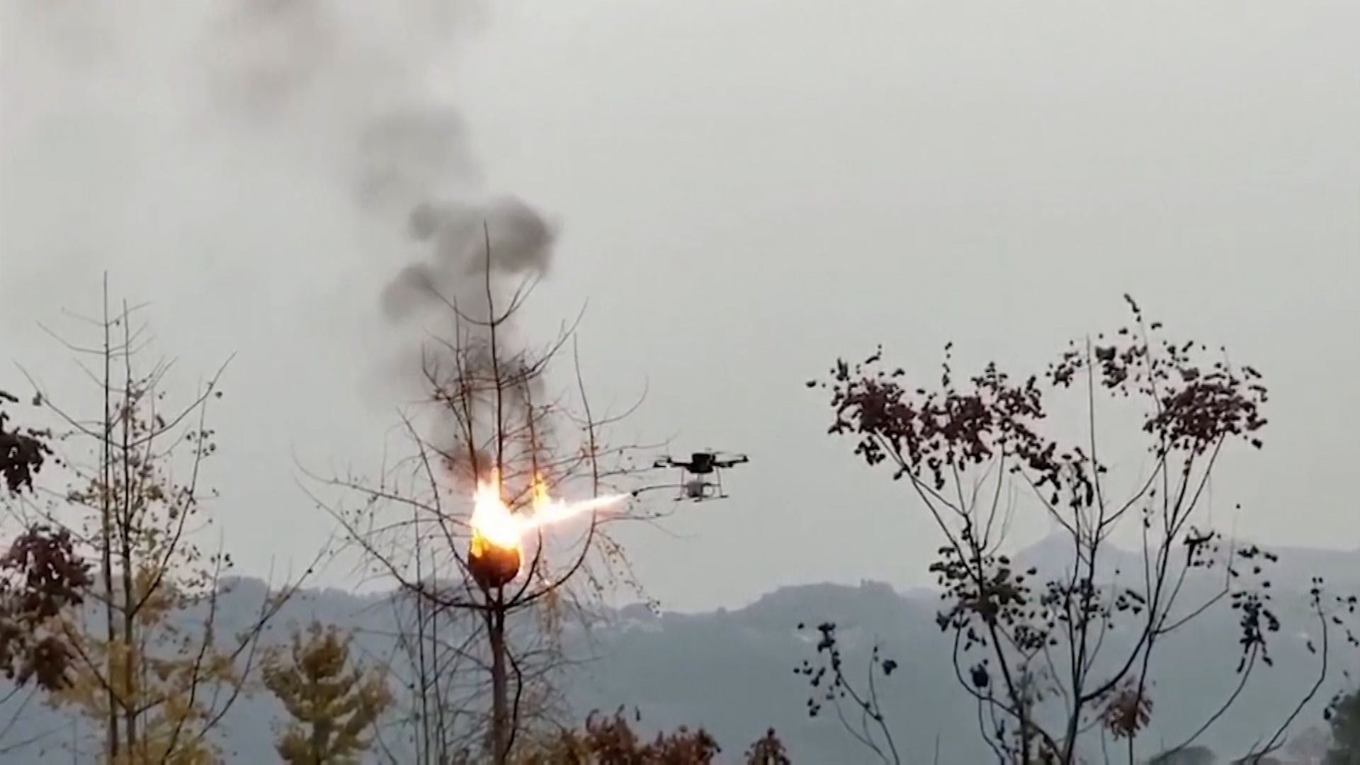 V Číně používají dron jako plamenomet na likvidaci vosích hnízd.