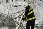Popadané stromy v noci uzavřely silnici u Zlína
