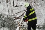 Jedna z nejčastějších prací hasičů 19. března nejen v Královéhradeckém kraji...