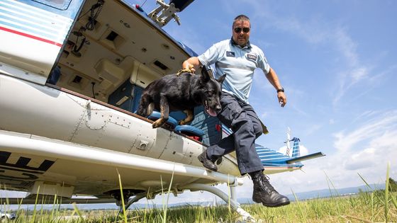 Foto: Policejní psi cvičili v Mostě přelety vrtulníkem. Šlo jim to skvěle