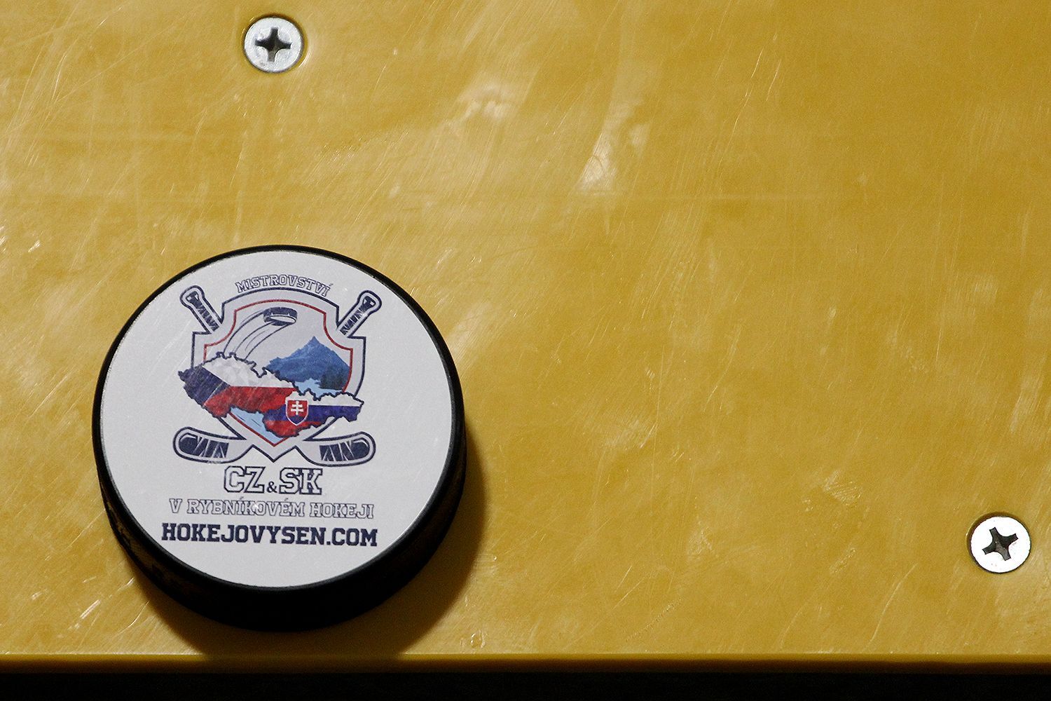 Mistrovství ČR a SR v rybníkovém hokeji