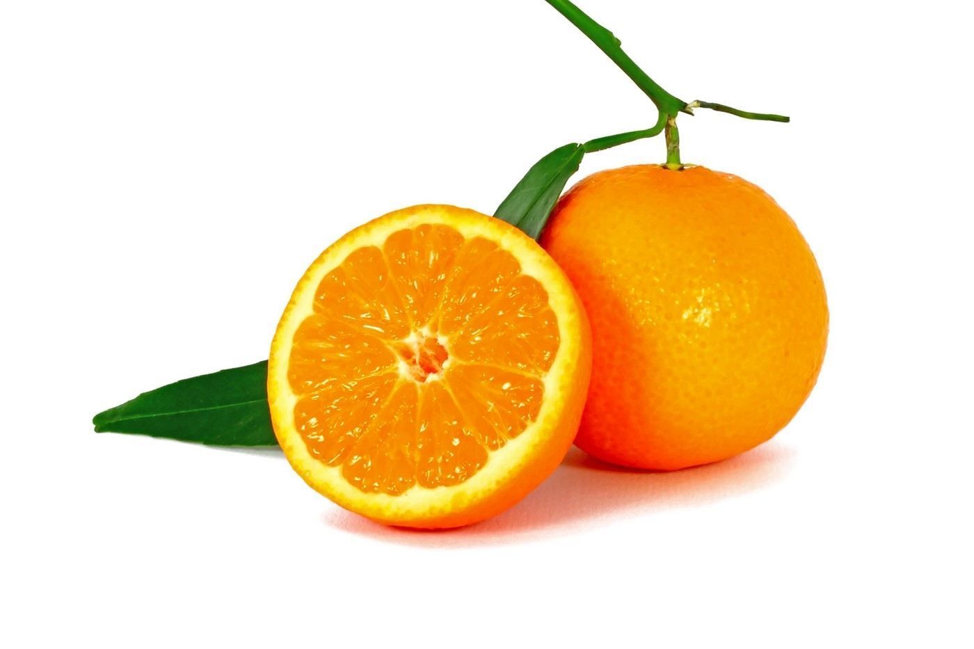Citrus - pomeranč