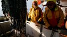 Francouzští rybáři naloví čtvrtinu svých ryb z severovýchodního Atlantiku právě v britských vodách. Obávají se o své živobytí, pokud do nich kvůli brexitu ztratí přístup.