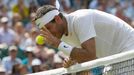 Djokovič vs. Del Potro, semifinále Wimbledonu 2013.